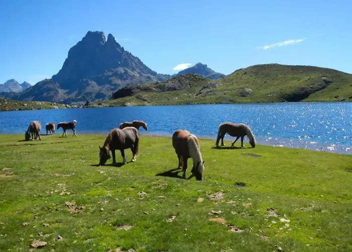 De La Cascade Lägenhet Eaux-Bonnes